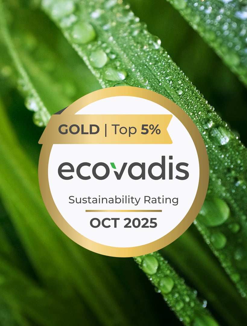 Macro_grass_dew_HD_1920x1080 copia