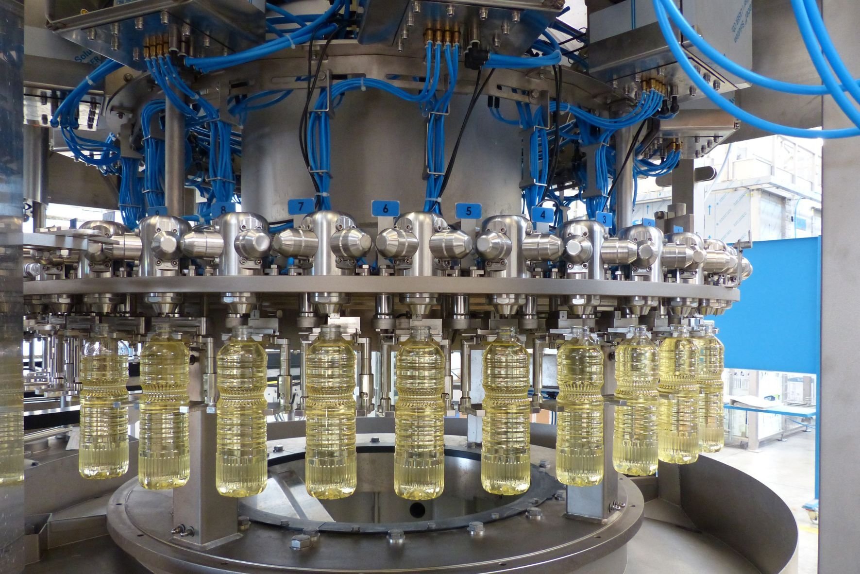 edible_oil