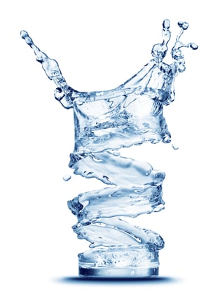 shutterstock_520871302