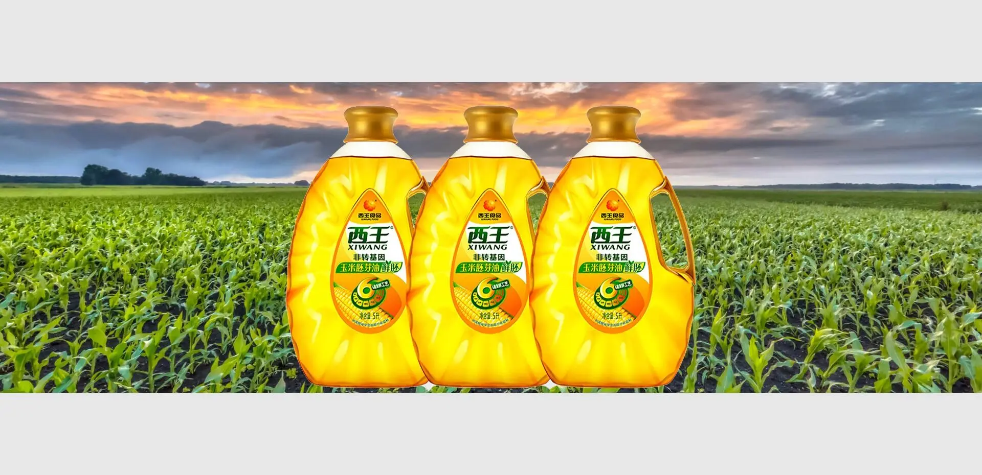XIWANG FOODSTUFFS chooses SIPA to engineer and blow cob-shaped bottles with integral handles for corn oil