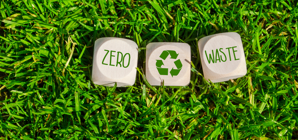 Sustainable packaging design and circular economy